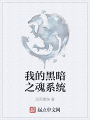 我的黑暗之魂系统