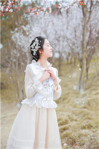 ��¥���ҵľ�ɫ���շ�������