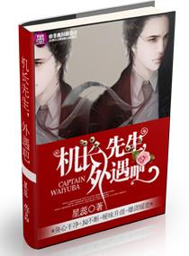 机长先生,外遇吧