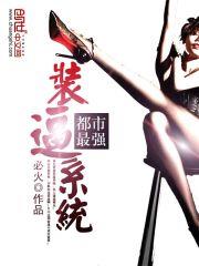 ������ǿװ��ϵͳ